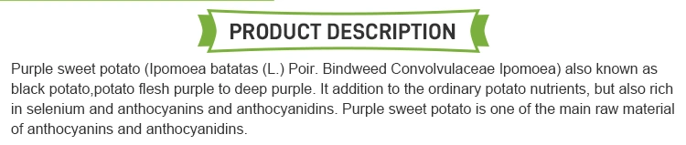 Wholesale Purple Sweet Potato Powder Vegetable Powder Purple Sweet Potato Extract Powder