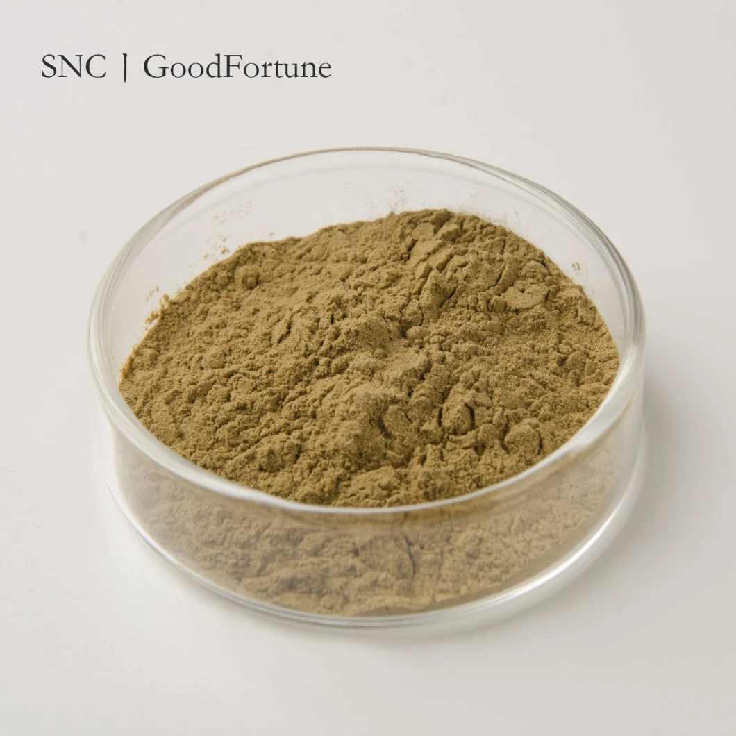Fast Delivery Brown Yellow Powder White Willow Bark Extract 50%