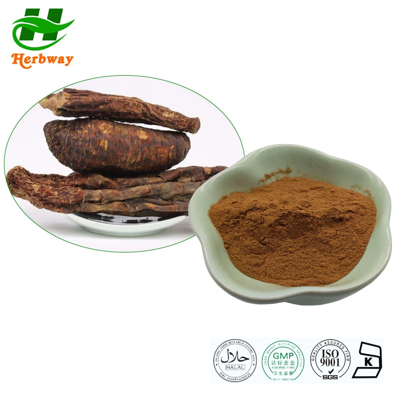 Herbway Factory Best Price Free Sample Natural Herbal Cistanche Deserticola Extract 20% 40% Echinacoside 10% Acteoside Cistanche Extract