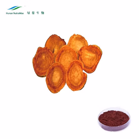 Polvo de extracto de antrodia cinnamomea para enfermedades cardiovasculares naturales puras/extracto de antrodia camphorata