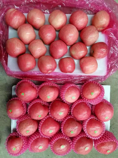 China Fruit Fresh Full Red FUJI Manzana